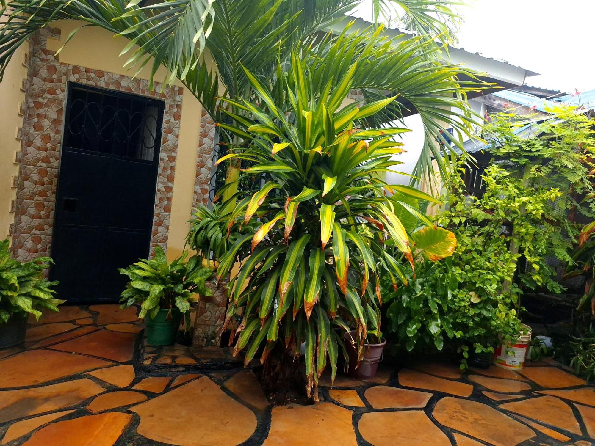 Mount Zion Guest House, Mtwapa Mtomondoni Mombasa Exterior foto